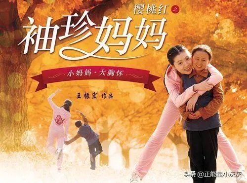 袖珍妈妈电视剧叫什么名字？