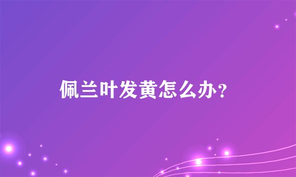佩兰叶发黄怎么办？