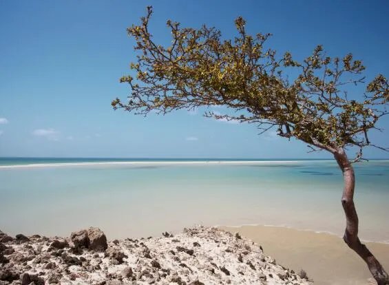 也门在哪里 也门是哪个国家的城市