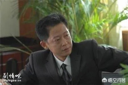 国家干部剧情介绍？