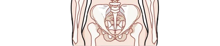 为什么男人更喜欢漂亮的女人？科学解释：“好色”不是男人的错