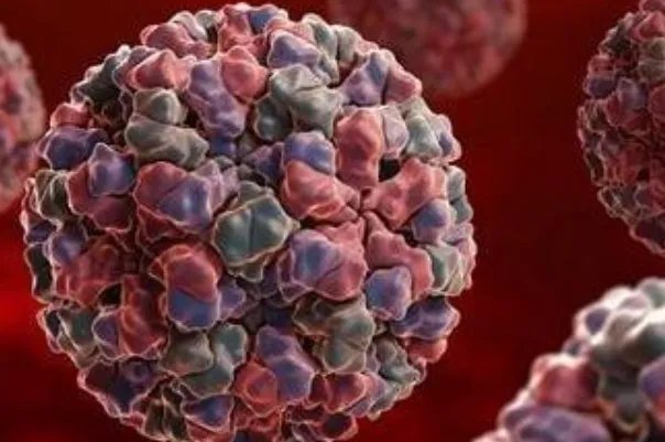 哈尔滨16名学生感染诺如病毒,这种病毒有什么风险?