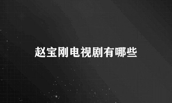 赵宝刚电视剧有哪些
