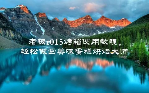 老板r015烤箱使用教程，轻松做出美味蛋糕烘焙大师