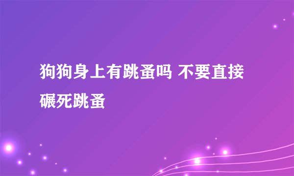 狗狗身上有跳蚤吗 不要直接碾死跳蚤