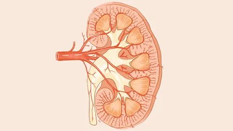 肾良性肿瘤有什么症状