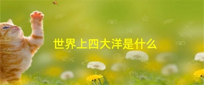 世界上四大洋是什么