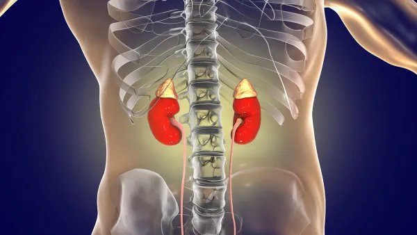 尿毒症有哪些症状