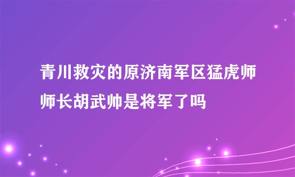 青川救灾的原济南军区猛虎师师长胡武帅是将军了吗