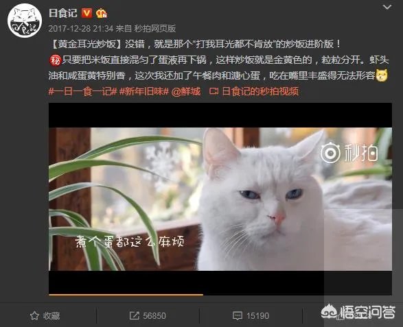 有没有人觉得日食记一类的美食视频看着很假？