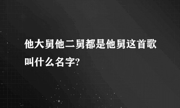 他大舅他二舅都是他舅这首歌叫什么名字?