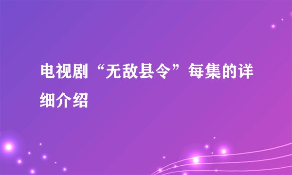 电视剧“无敌县令”每集的详细介绍