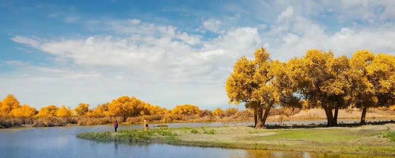 甘肃的胡杨林旅游景区在哪里 甘肃胡杨林旅游景区具体位置