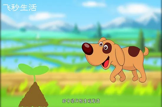 植物传播种子的方法