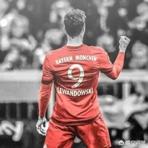 如何评价曼朱基奇？