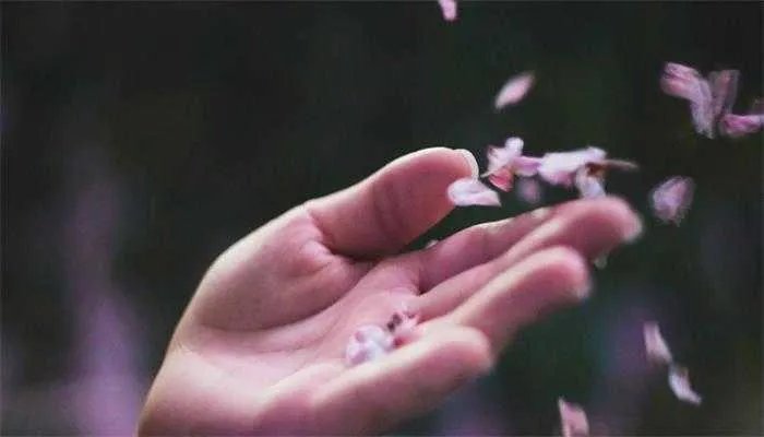 一别两宽是什么意思