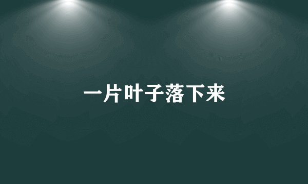 一片叶子落下来