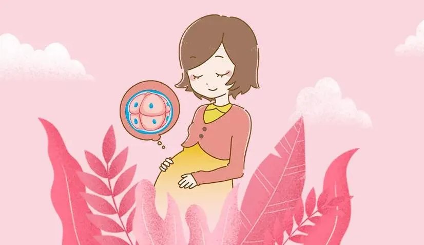 西安庄捐卵试管机构-西安可以做供卵试管吗（西安哪家医院可以做试管婴儿）