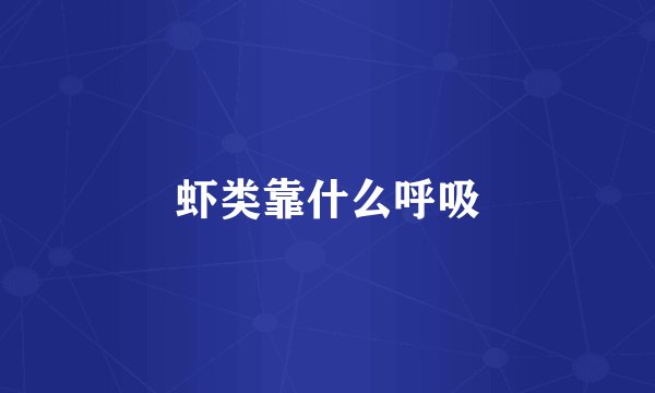 虾类靠什么呼吸