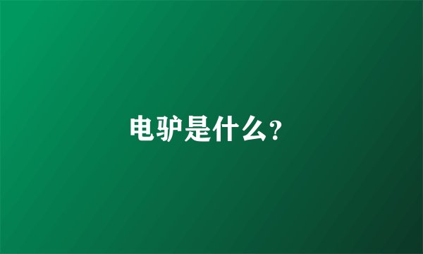 电驴是什么？