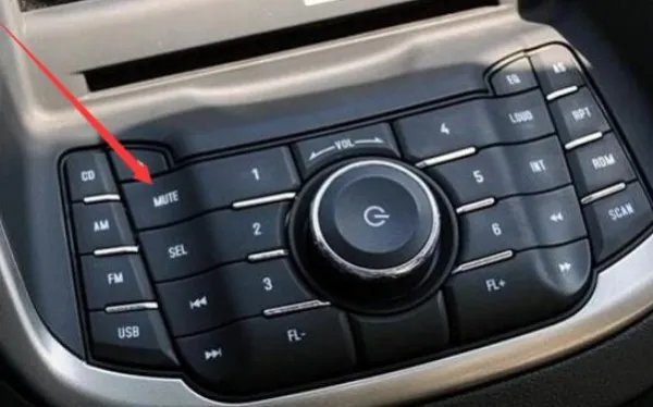 mute是什么意思？