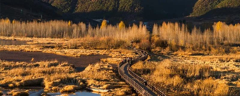 什么是走婚走婚有哪些习俗 走婚风俗的简单介绍