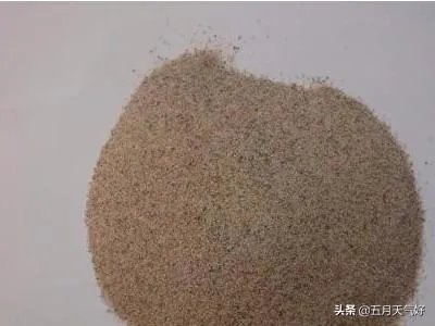 长期保存菌种的方法？