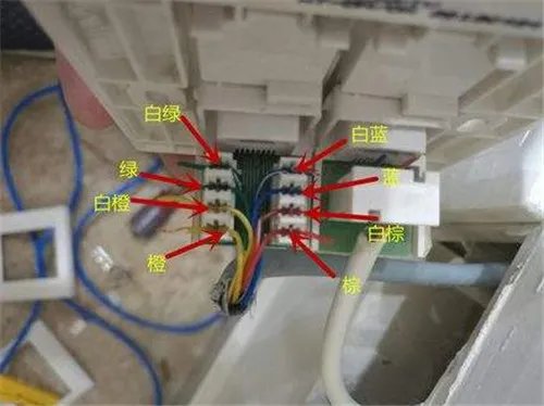 电脑插座怎么接线
