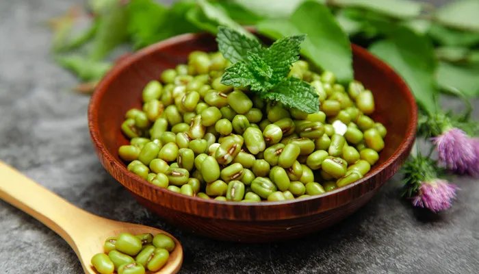 绿豆产地 绿豆产地在哪里