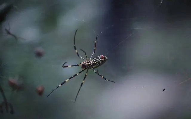 发财路是想出来吗？