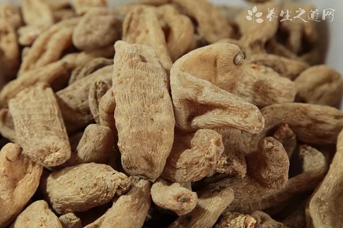 妇科炎症吃什么中药