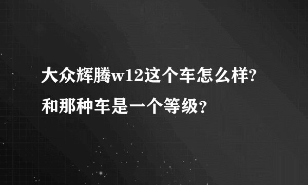 大众辉腾w12这个车怎么样?和那种车是一个等级？