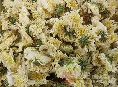 野菊花的功效与作用