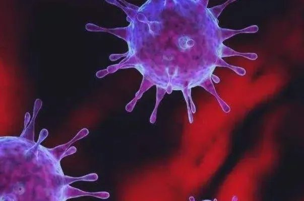 哈尔滨16名学生感染诺如病毒,这种病毒有什么风险?