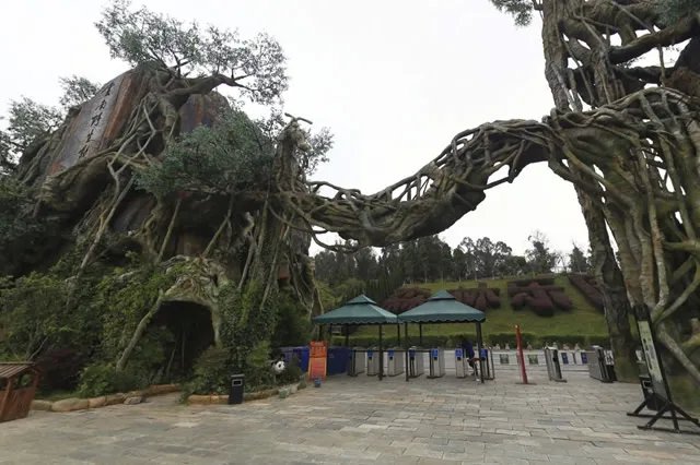 昆明动物园有哪些 昆明海洋馆有哪些 昆明动物园完整名录