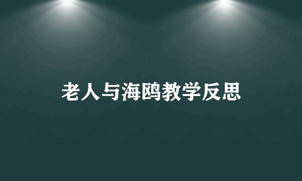 老人与海鸥教学反思