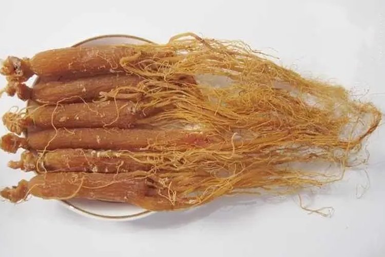 高丽参和红参的区别图片