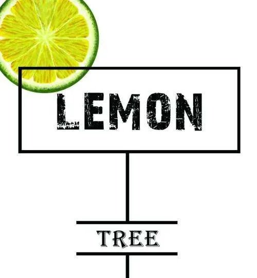lemon tree歌词