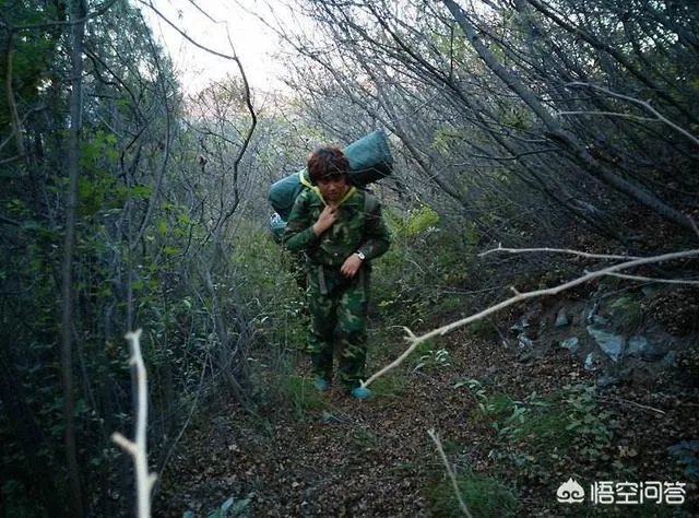 古往今来，为何隐士、修行者会首选终南山隐逸修行？