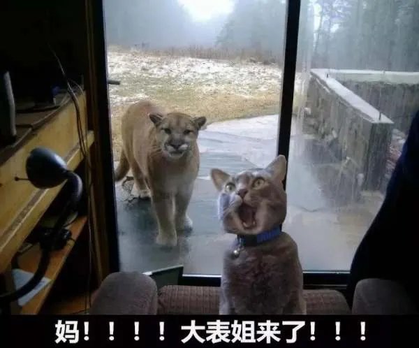 2019年六月份开始上美美团要交保证金吗？