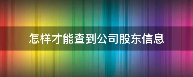 怎样才能查到公司股东信息