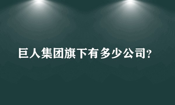 巨人集团旗下有多少公司？