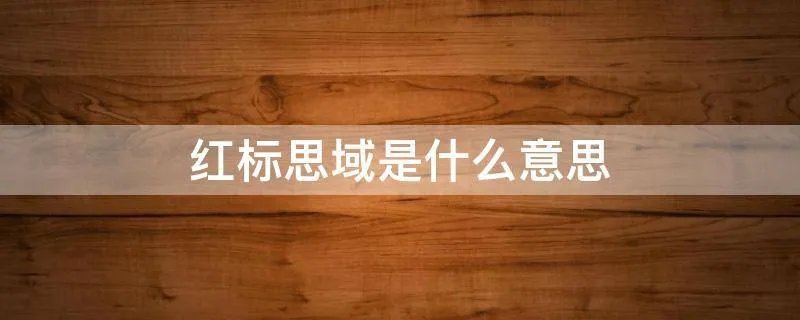 红标思域是什么意思