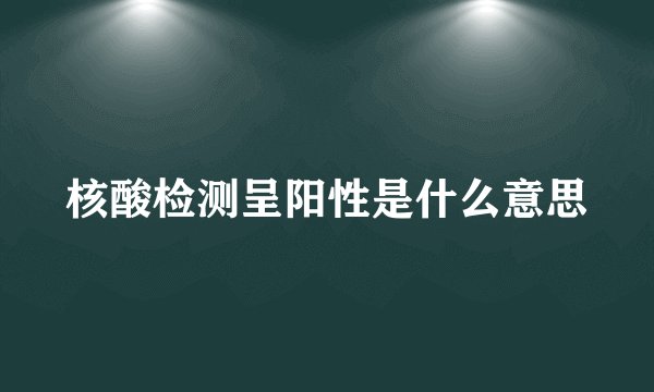 核酸检测呈阳性是什么意思