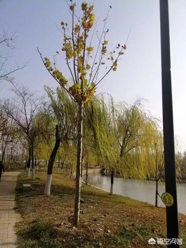 现在的90后是不是真的已经老了?