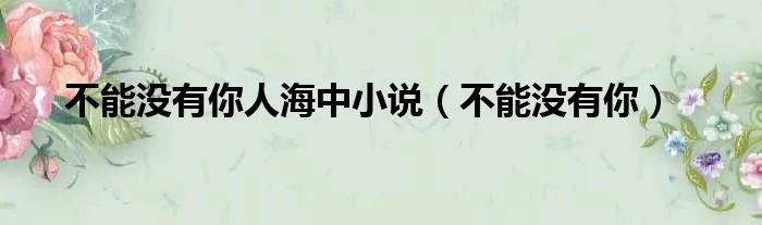不能没有你人海中小说（不能没有你）