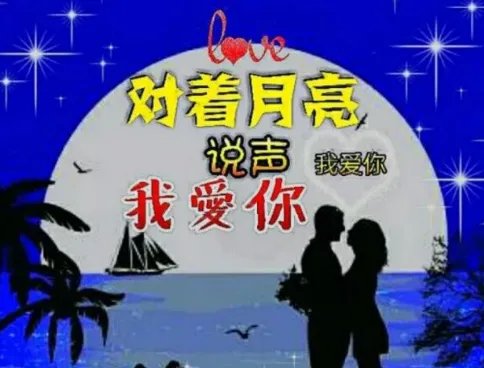 望着那忧伤的月亮我又想起你的歌名是什么