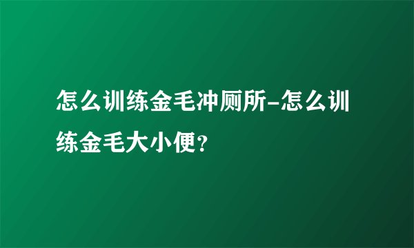 怎么训练金毛冲厕所-怎么训练金毛大小便？