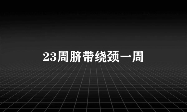 23周脐带绕颈一周