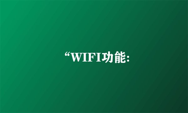 “WIFI功能: